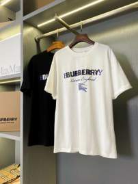 Picture of Burberry T Shirts Short _SKUBurberryS-2XLaztx976819862